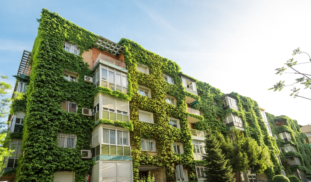 Green building with plants growing on the facade. Ecology and green living in city. Eco-building covered with ivy (green wall or bio-wall). Ecological vertical forest. 
