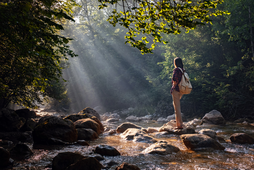 A woman explores new, magical, and fantastic places around the world, surrounded by nature and spreading her arms to breathe and relax. Female hiker crossing the forest creek. 