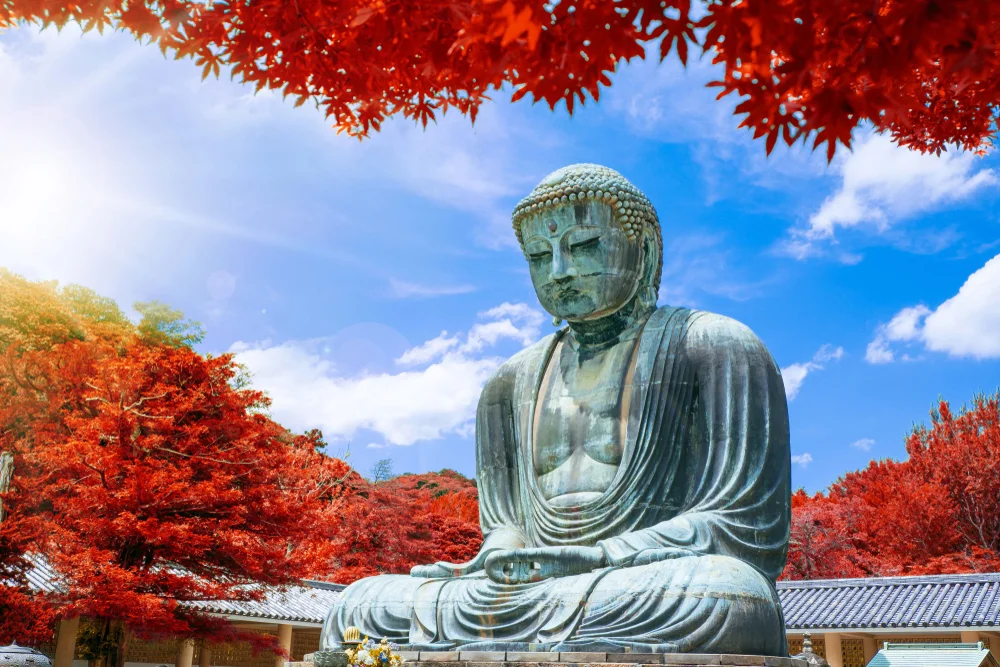 The Great Buddha of Kamakura at autumn season with red leaf, Kanagawa,Japan. Originally housed in a hall that was destroyed twice in the 14th Century, the great Buddha at Kotoku-in Temple dates fro
