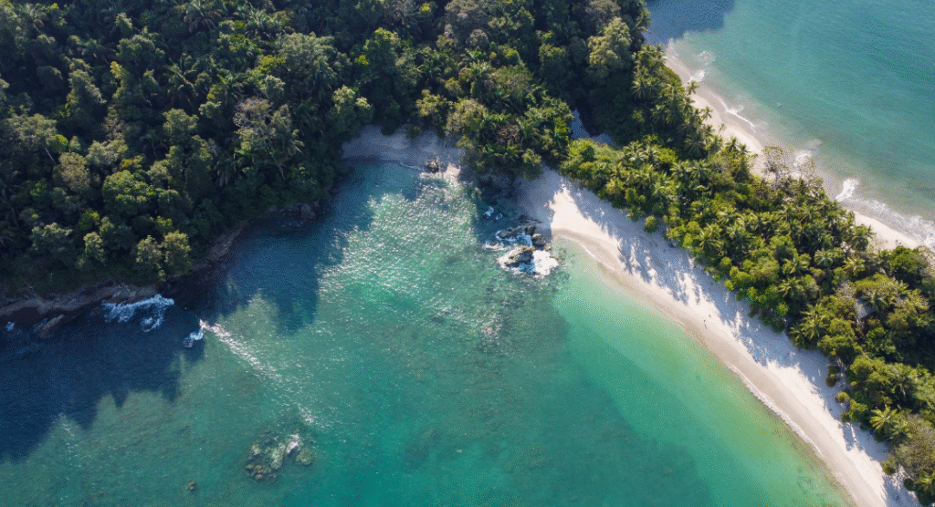 Aerial drone view of a pristine tropical beach with turquoise waters and dense rainforest in Manuel Antonio, Costa Rica, showcasing natural beauty and coastal biodiversity.