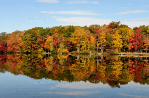 Fall foliage reflecting on a lake in the Poconos, showcasing the region’s famous autumn colors and seasonal beauty.