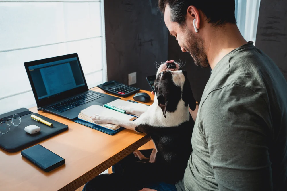 Remote worker man working from home with his dog sitting together in the office. Side view of man using laptop at home with cute dog
